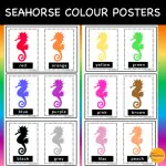 Colour Seahorse Posters