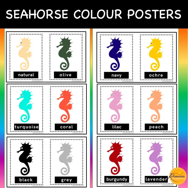 Colour Seahorse Posters